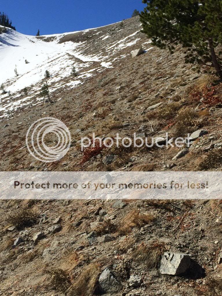 Maxwell Lake Wallowa's day hike Oregon Hikers